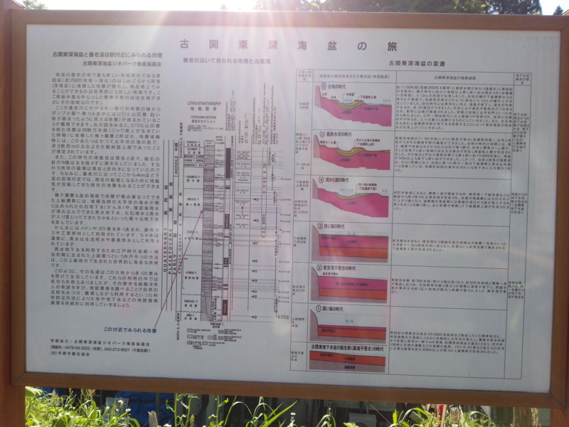 f:id:massneko:20140511152510j:plain f:id:massneko:20140511152510j:plain