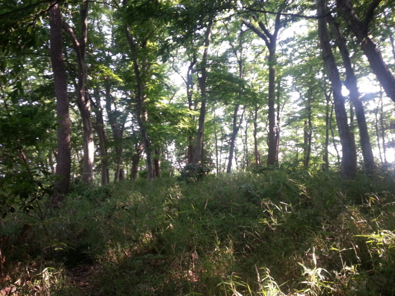 f:id:massneko:20140531154550j:plain