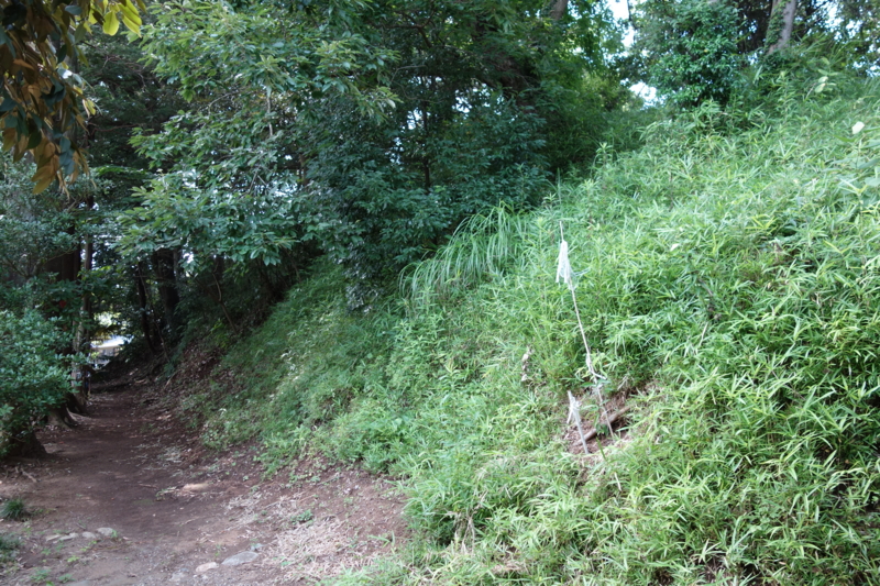 f:id:massneko:20140712151003j:plain f:id:massneko:20140712151003j:plain