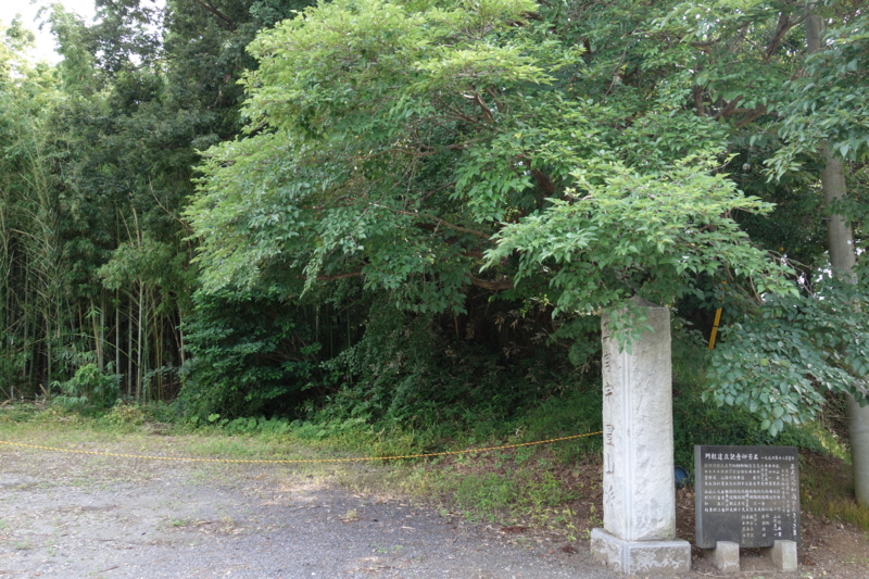 f:id:massneko:20140712151323j:plain f:id:massneko:20140712151323j:plain