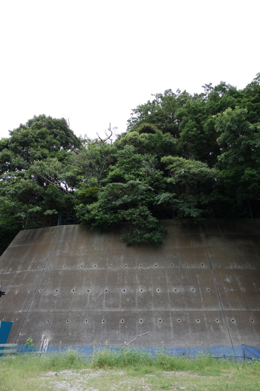 f:id:massneko:20140721105951j:plain