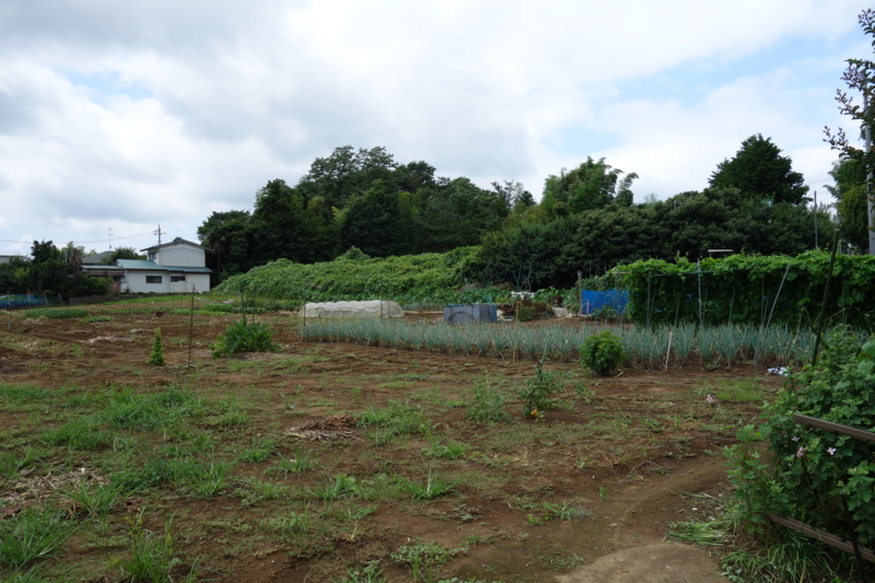 f:id:massneko:20140721110252j:plain