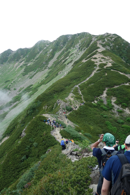 f:id:massneko:20140802113349j:plain
