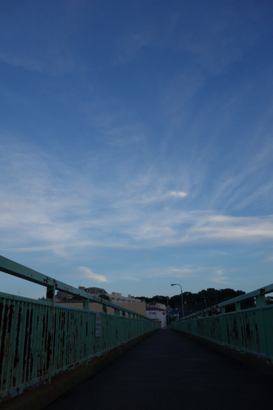 f:id:massneko:20140815181554j:plain f:id:massneko:20140815181554j:plain