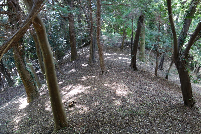 f:id:massneko:20140921105230j:plain