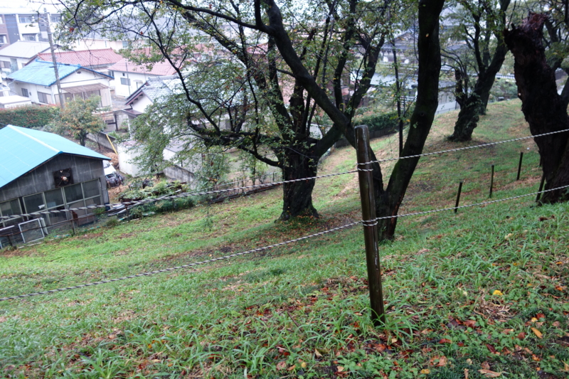 f:id:massneko:20141005141518j:plain