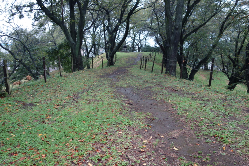 f:id:massneko:20141005141606j:plain