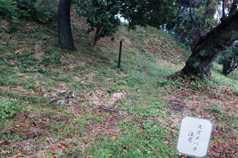 f:id:massneko:20141005141736j:plain
