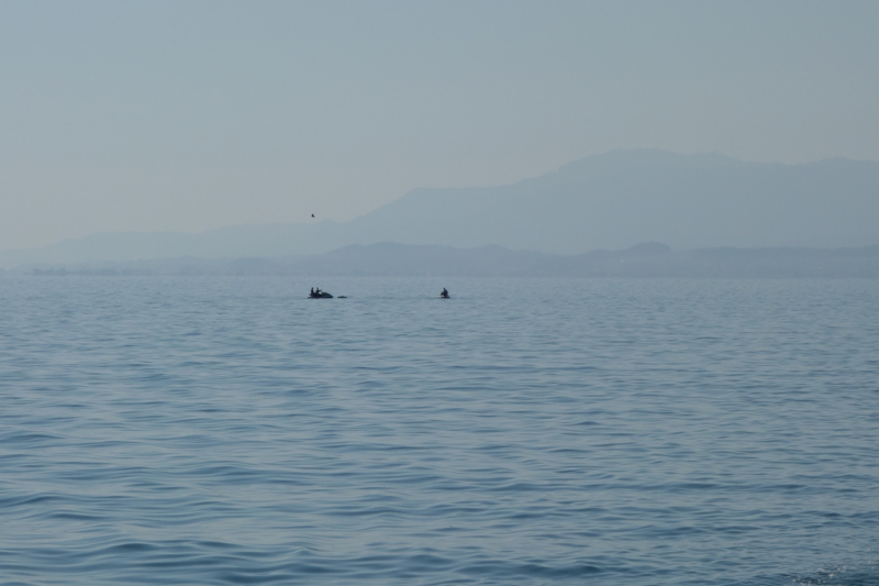 f:id:massneko:20141019111922j:plain