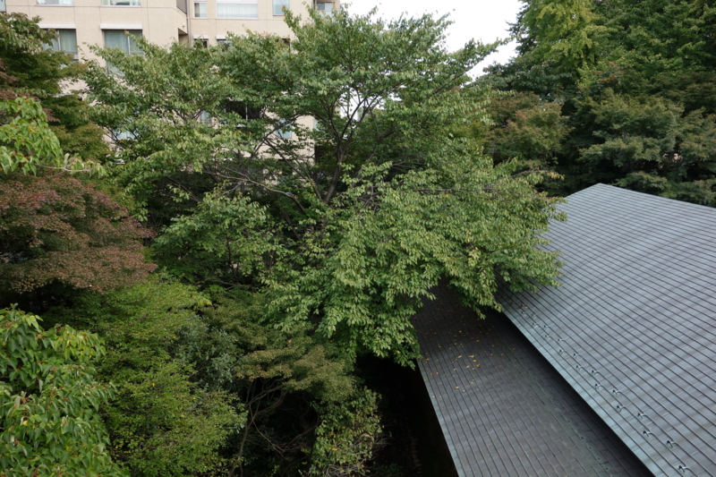 f:id:massneko:20141027115411j:plain f:id:massneko:20141027115411j:plain