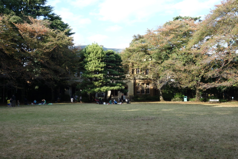 f:id:massneko:20141103143542j:plain