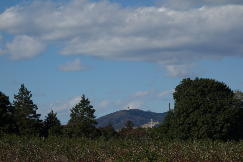 f:id:massneko:20141115131800j:plain
