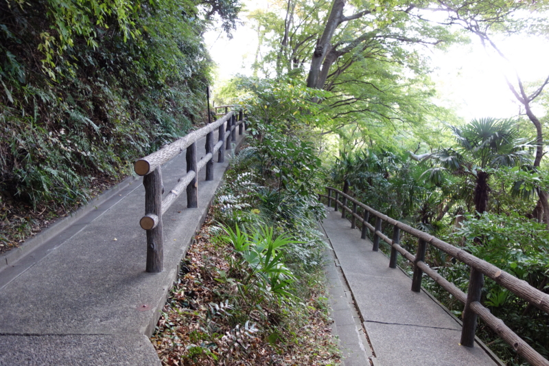 f:id:massneko:20141116114748j:plain f:id:massneko:20141116114748j:plain