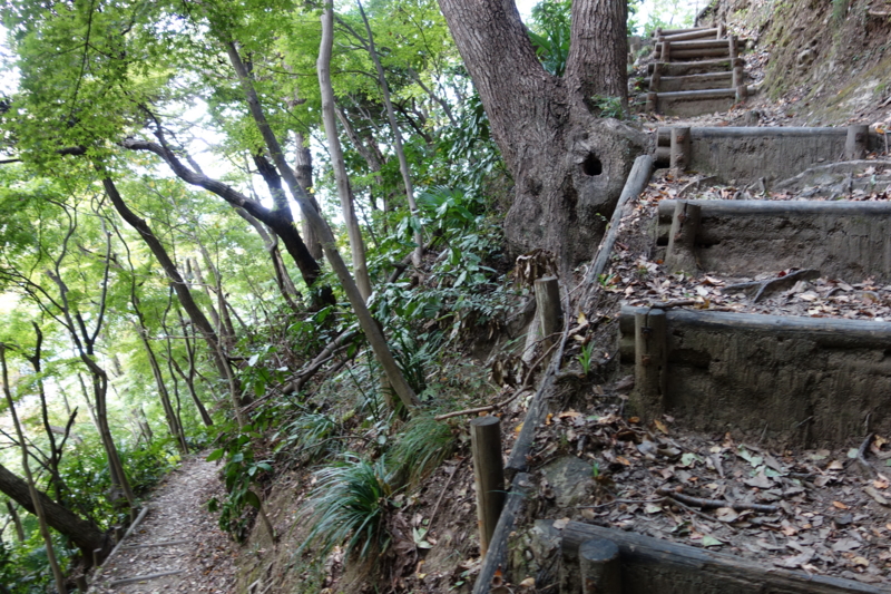 f:id:massneko:20141116115018j:plain f:id:massneko:20141116115018j:plain