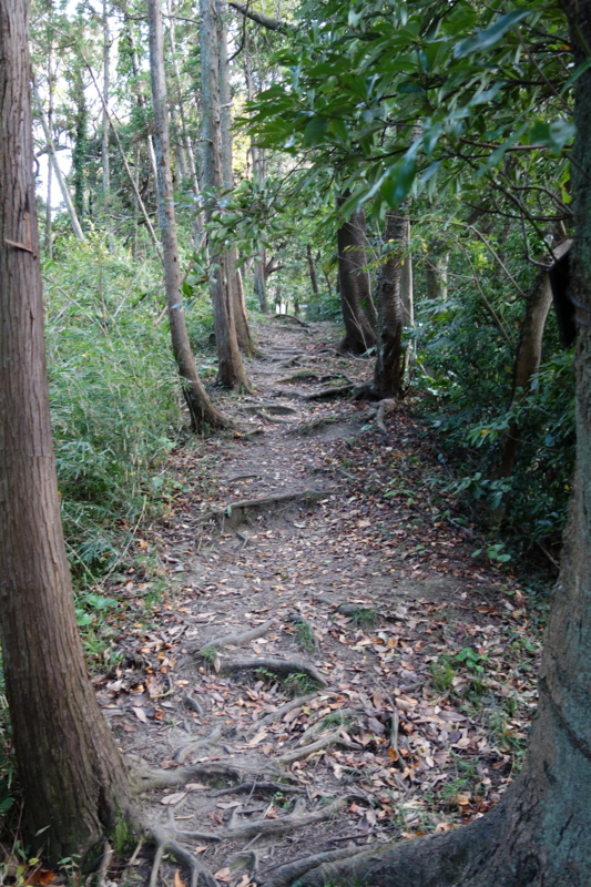 f:id:massneko:20141116115308j:plain f:id:massneko:20141116115308j:plain