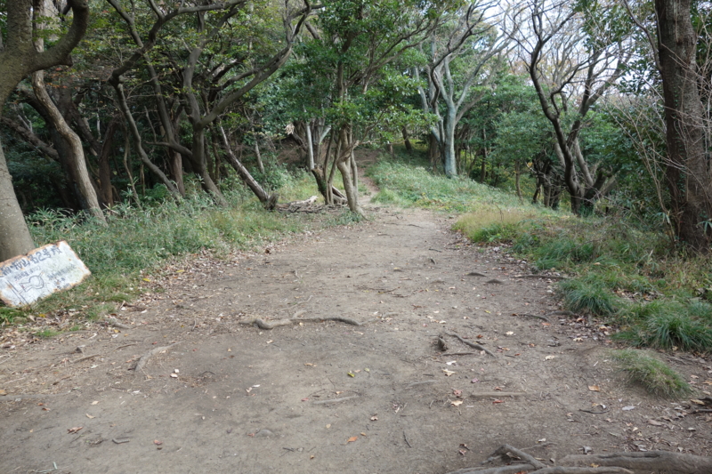 f:id:massneko:20141116115654j:plain f:id:massneko:20141116115654j:plain