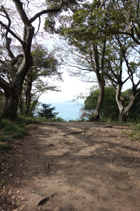 f:id:massneko:20141116115716j:plain f:id:massneko:20141116115716j:plain