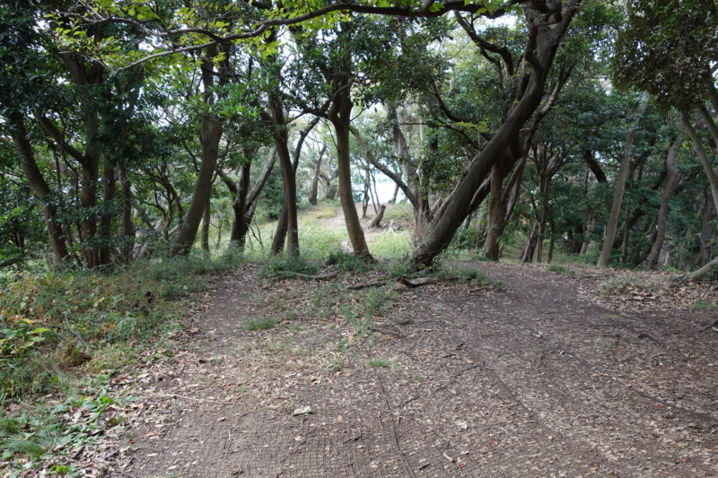 f:id:massneko:20141116115749j:plain f:id:massneko:20141116115749j:plain