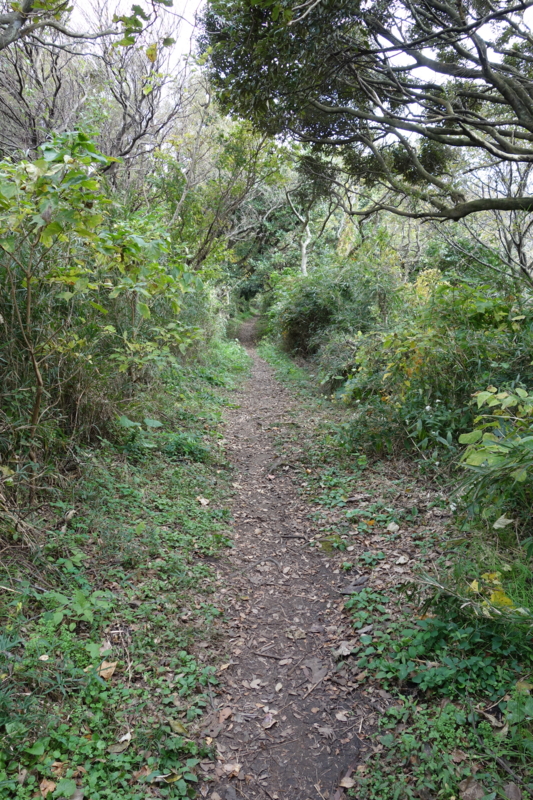 f:id:massneko:20141116120127j:plain f:id:massneko:20141116120127j:plain