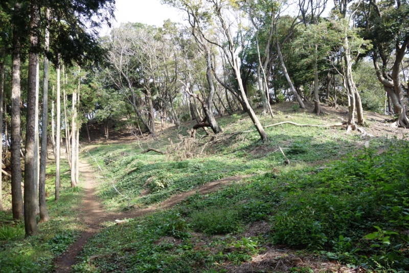 f:id:massneko:20141116120539j:plain f:id:massneko:20141116120539j:plain