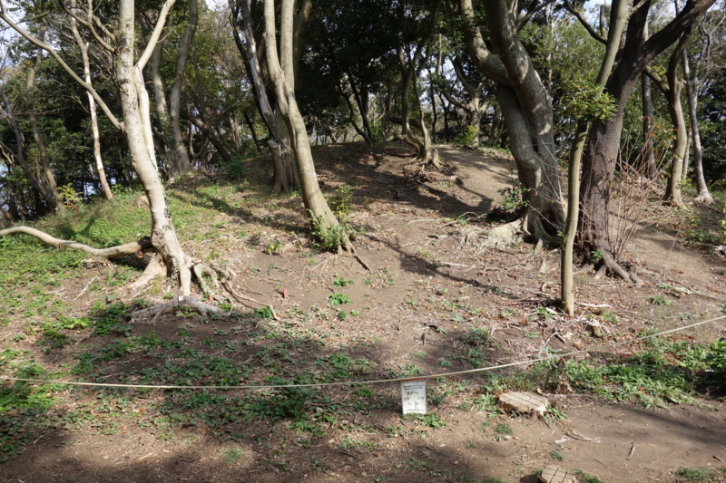 f:id:massneko:20141116120608j:plain f:id:massneko:20141116120608j:plain