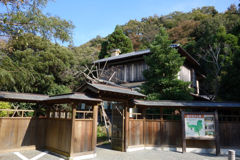 f:id:massneko:20141116123224j:plain