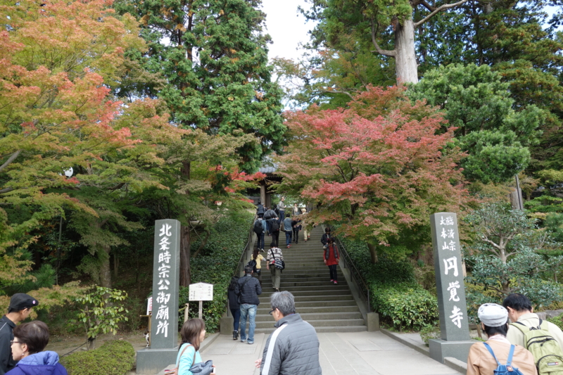 f:id:massneko:20141116131456j:plain