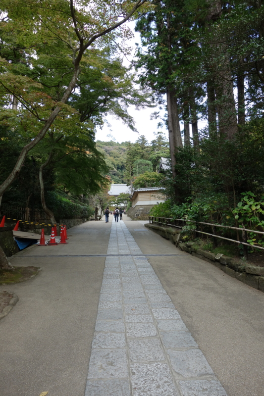 f:id:massneko:20141116132204j:plain
