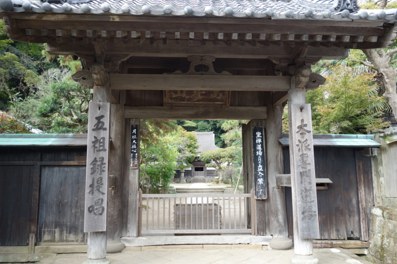 f:id:massneko:20141116132419j:plain