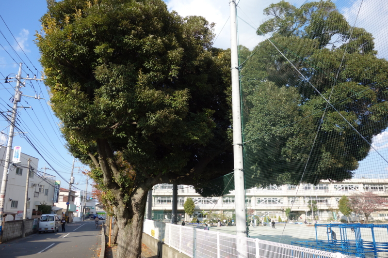 f:id:massneko:20141123140947j:plain f:id:massneko:20141123140947j:plain