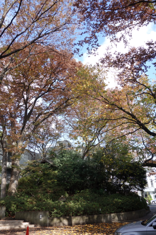 f:id:massneko:20141130102515j:plain