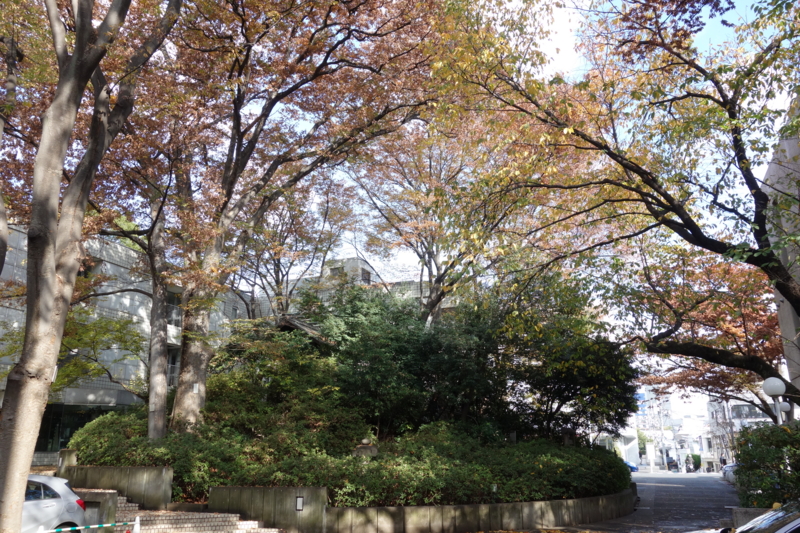 f:id:massneko:20141130102522j:plain