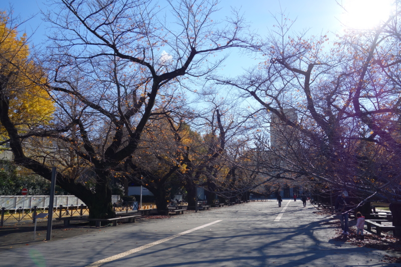 f:id:massneko:20141206125616j:plain