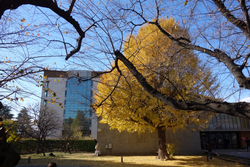 f:id:massneko:20141206125705j:plain