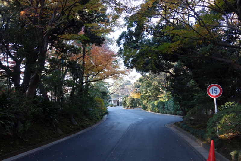 f:id:massneko:20141209144242j:plain