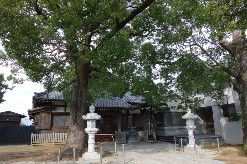 f:id:massneko:20141221123601j:plain