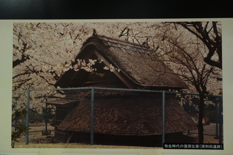 f:id:massneko:20141221134639j:plain
