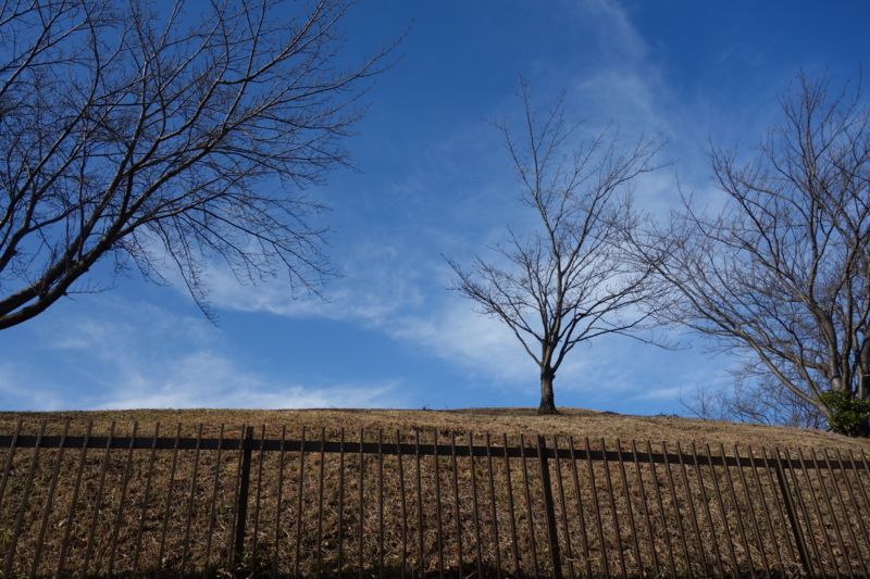 f:id:massneko:20141221135243j:plain