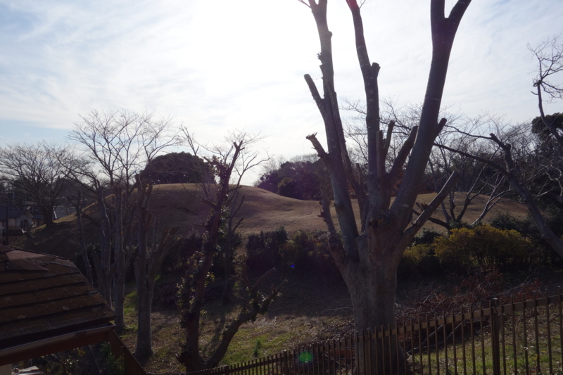 f:id:massneko:20141221140527j:plain