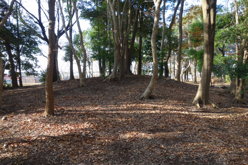 f:id:massneko:20141221142435j:plain
