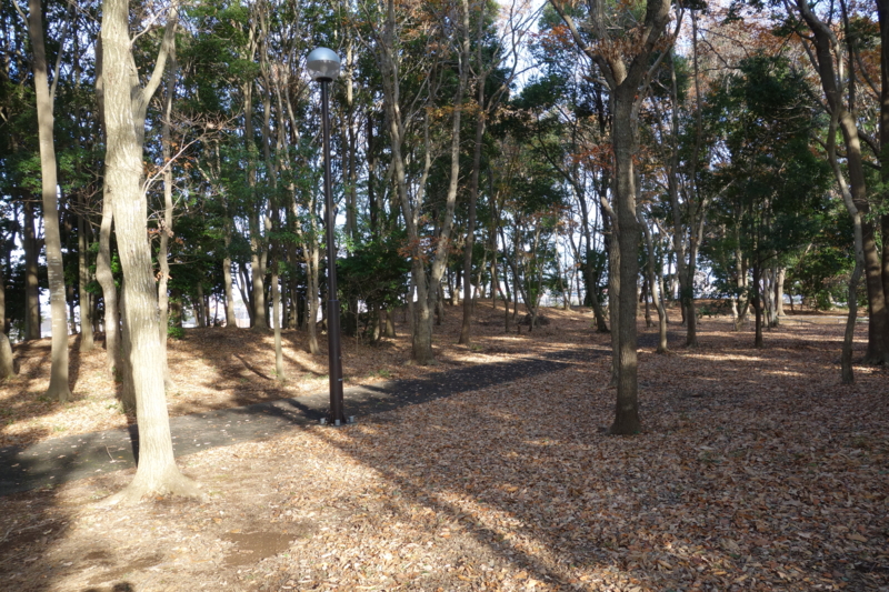 f:id:massneko:20141221142444j:plain