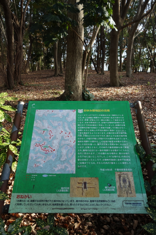 f:id:massneko:20141221142747j:plain