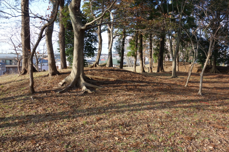 f:id:massneko:20141221142850j:plain