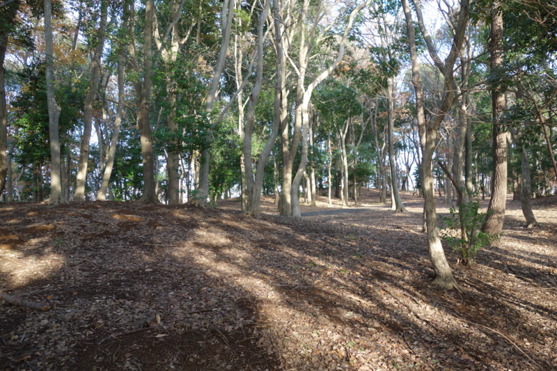f:id:massneko:20141221142935j:plain