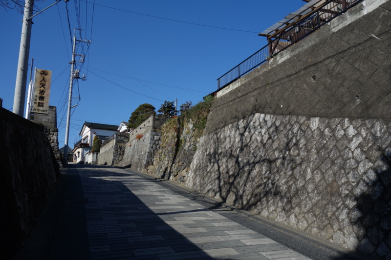 f:id:massneko:20141227114011j:plain