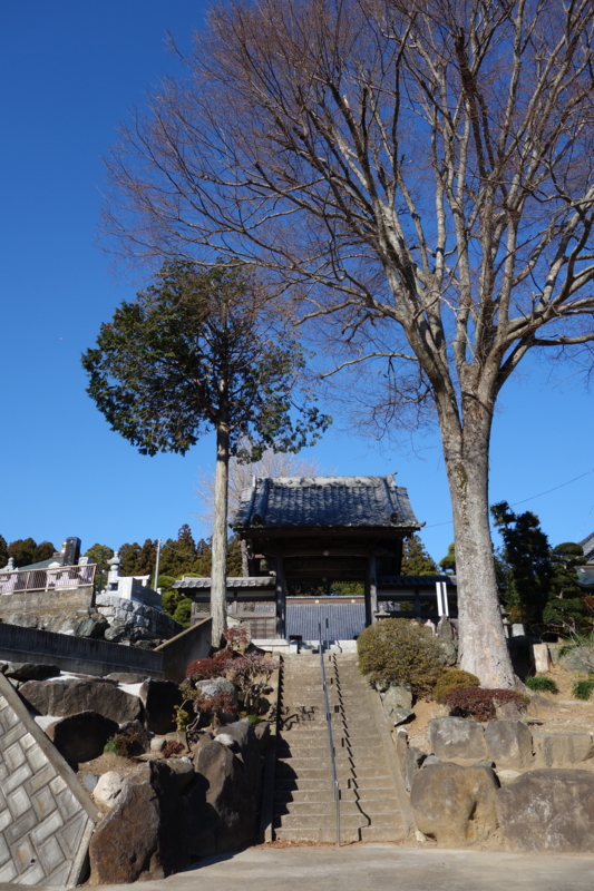 f:id:massneko:20141227124502j:plain