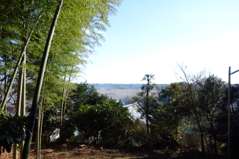 f:id:massneko:20141227124928j:plain