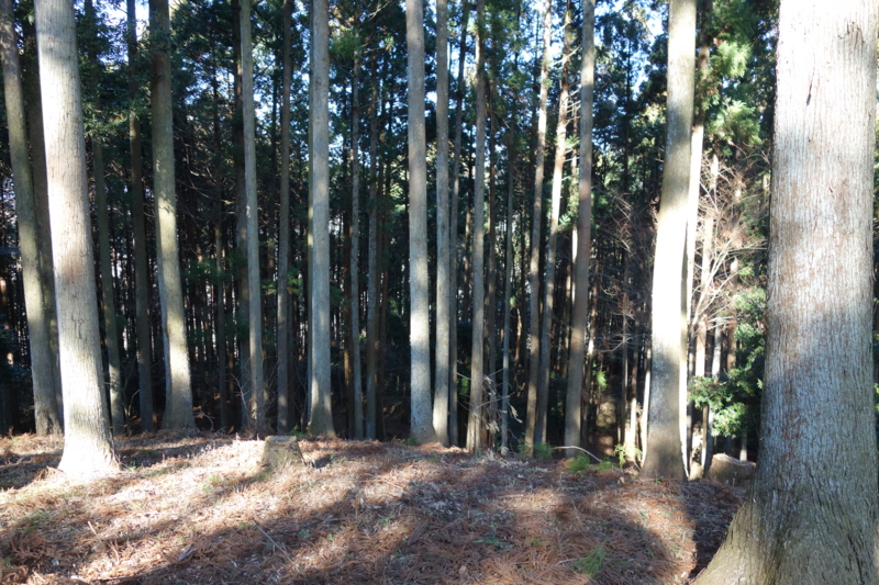 f:id:massneko:20141227124946j:plain