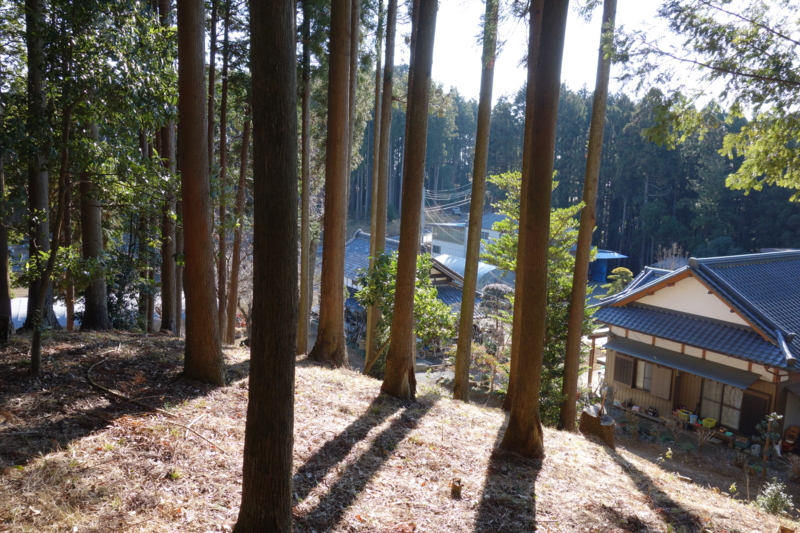 f:id:massneko:20141227125150j:plain