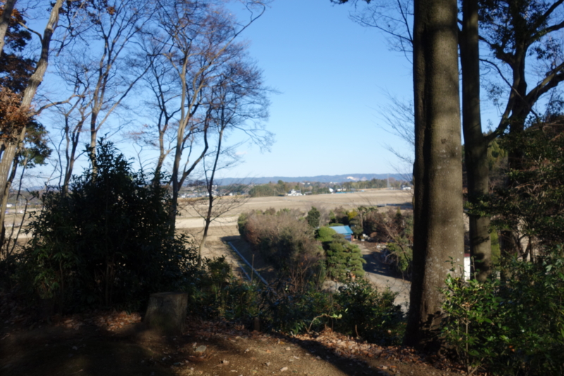 f:id:massneko:20141227134542j:plain